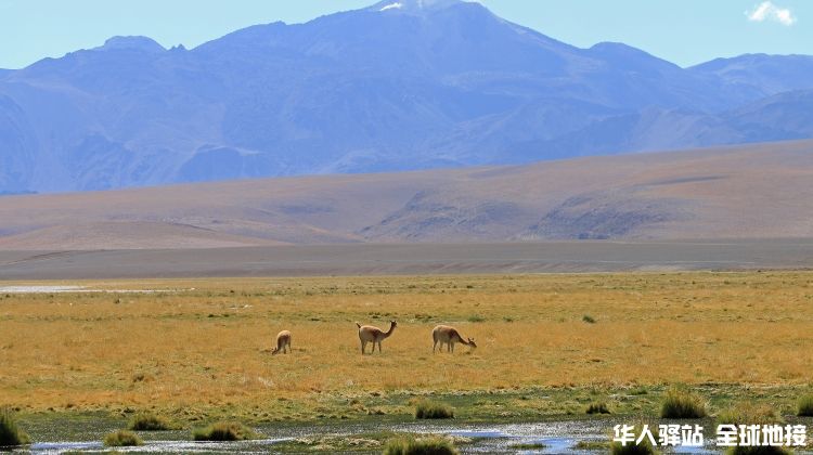 discover-chile-tour-2-349607_0.jpg