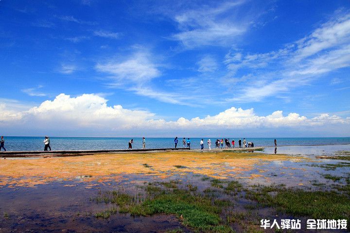 新疆青海湖1.jpg