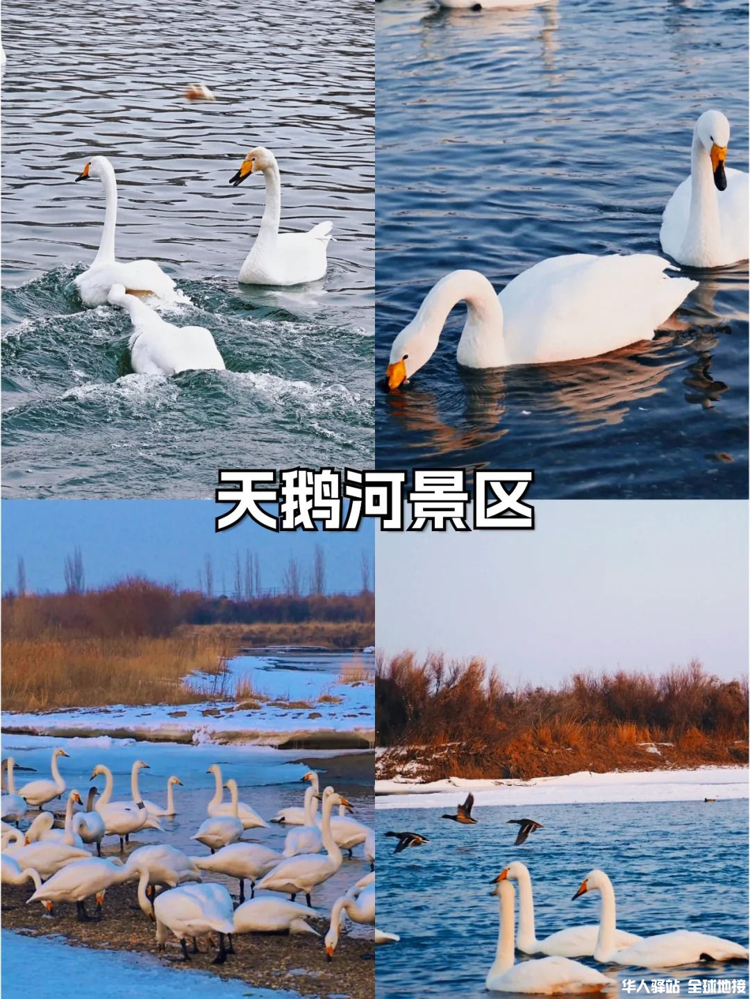 不能错过的7个库尔勒美景3.jpg